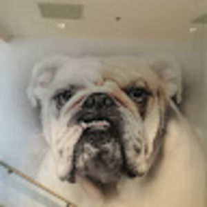 Meet your Posher, Josh